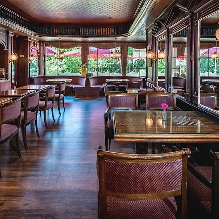 Ahorn Harz Braunlage