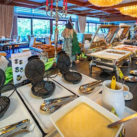 Hotel Ahorn Harz 3*