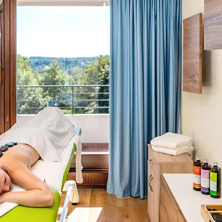 Hotel Ahorn Harz 3*