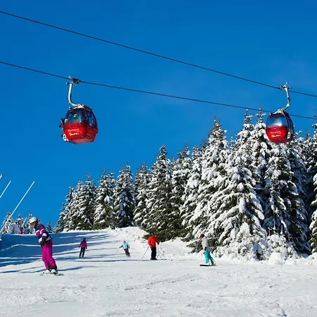 מלון Ahorn Harz