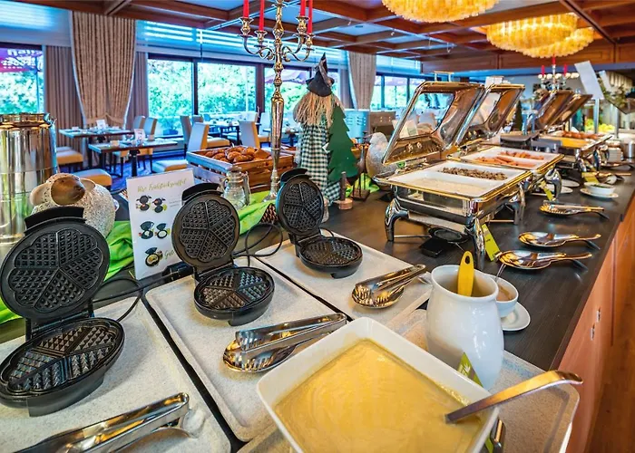 Отель Ahorn Harz 3*